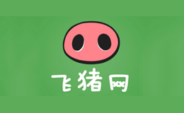 廣州飛豬網(wǎng)網(wǎng)絡(luò)科技有限公司
