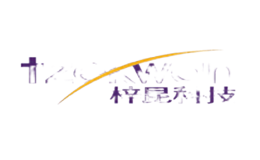 梓昆科技(中國)股份有限公司
