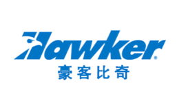 德事隆航空公司