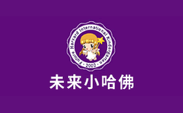 廣州維動網絡科技有限公司