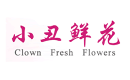 北京創意非凡鮮花有限公司