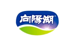 湖北咸寧向陽(yáng)湖興興奶業(yè)有限公司  